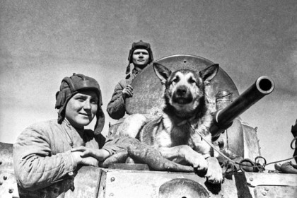 21-marta-1945-ovcharka-dzhulbars-byla-udostoena-medali-za-bo.jpg