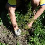 2018-05-04-PHOTO-00001864