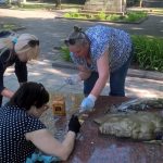 IMG_4812-06-05-18-02-13