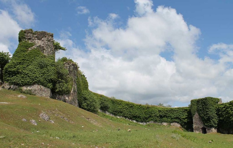 Рухская крепость. была построена Леваном Дадиани в 1647 году. фото с сайта: http://ge.blackseasilkroad.com/en/wiki/Rukhi/377/614