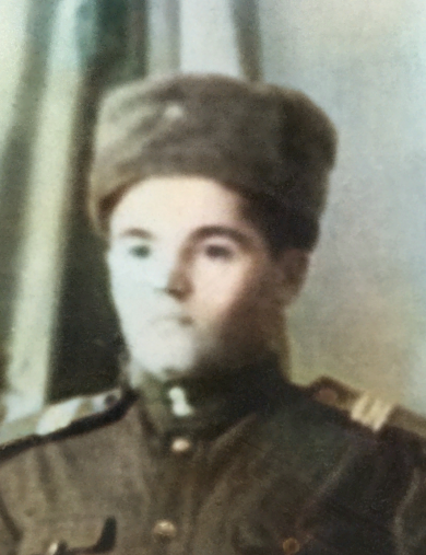 Огородник Василий Гаврилович