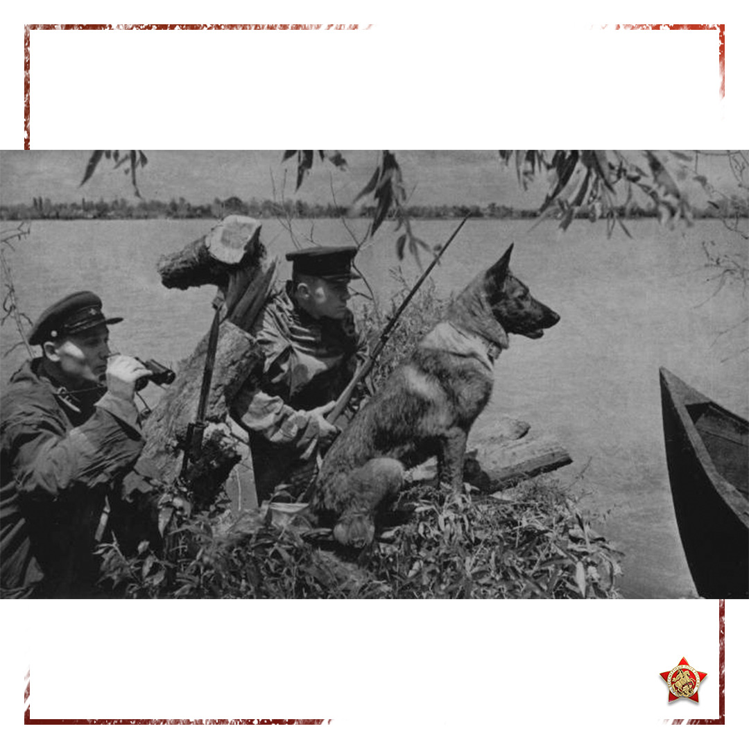 Вот уже 63 года у нас в стране 28 мая отмечается главный пр...