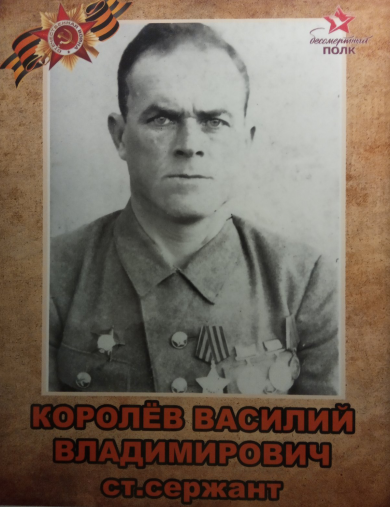 Королев Василий Владимирович